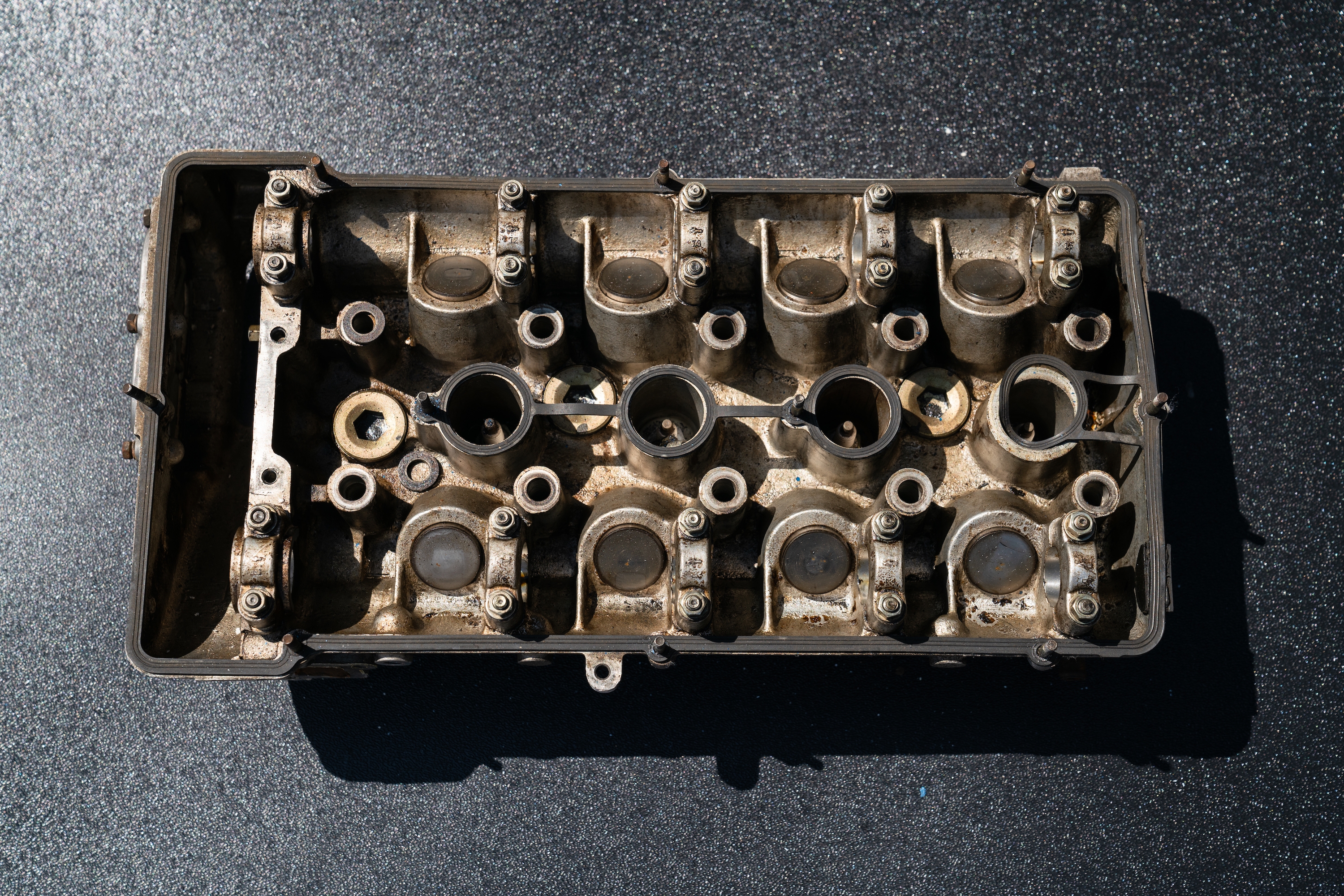 Levin parts 19